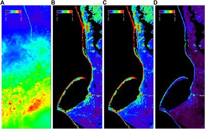 Use of Hyper-Spectral Visible and Near-Infrared Satellite Data for Timely Estimates of the Earth’s Surface Reflectance in Cloudy Conditions: Part 2- Image Restoration With HICO Satellite Data in Overcast Conditions